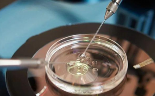 代生条件是什么冻胚移植怎样算天数？代生条件是什么冻胚移植怎么算孕周？