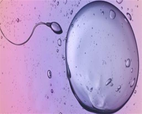 2026美国到哪找代生鲜胚与冻胚谁更胜一筹，只带2万够吗？