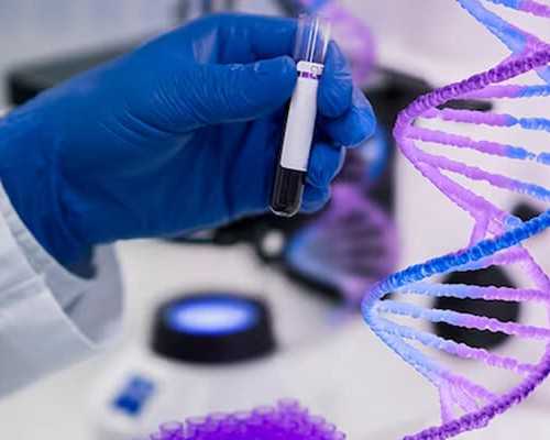 子宫内膜6mm怀孕几率是多少