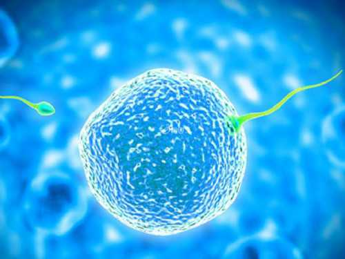 杭州借卵做试管的程序,浙江三强医院三代试管婴儿哪家医院比较好，并分享省