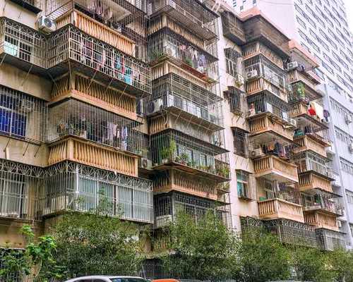 有胎心胎芽了胎停的可能性大吗