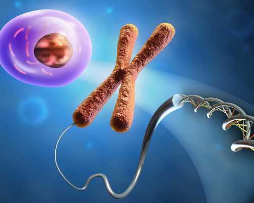 杭州包男孩包成功，杭州的供卵私立医院有哪些,在浙江医院做试管婴儿可以包