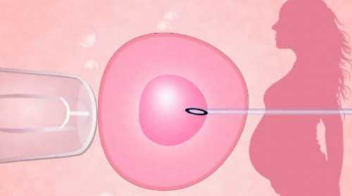 多囊卵巢会影响试管成功率,多囊卵巢试管
