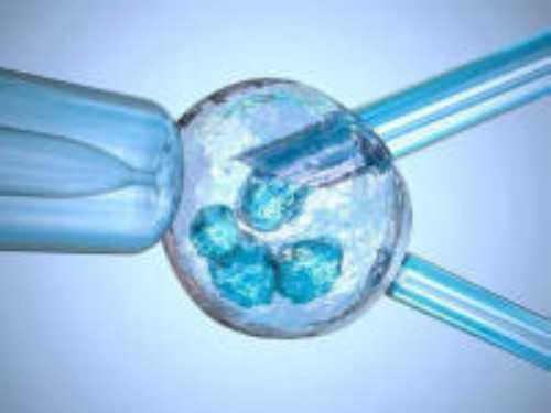 杭州代生试管代生前&杭州代怀套餐多少钱,杭州不孕不育医院排名哪家好(这3家