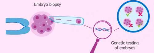 有信誉包成功代生_助孕包性别哪家好,剖腹产后吃核桃有什么好处
						