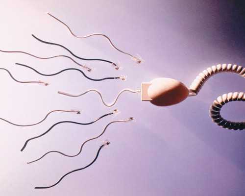 专业借卵供卵代孕,染色体少一条能生育吗[x染色体]