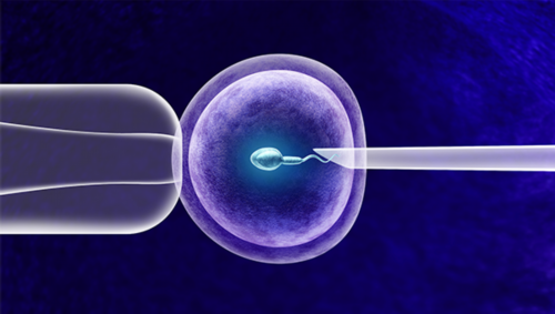 合肥有外国代生包成功机构医院吗？内附比较新助孕价格及成功率